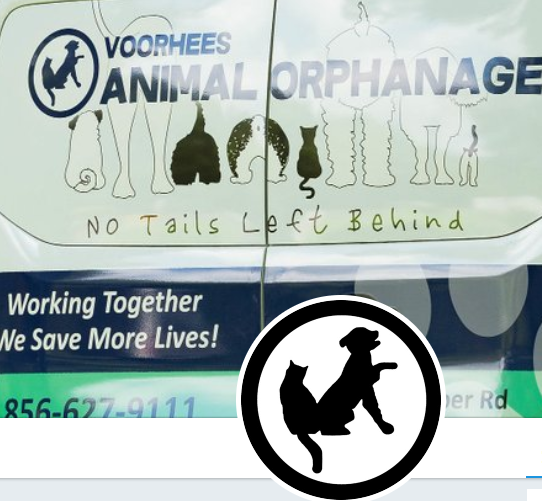 Voorhees Animal Orphanage (March/April Charity)