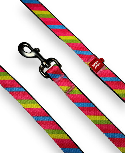 Colorful Striped Dog Leash