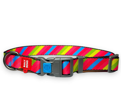 Colorful Striped Collar