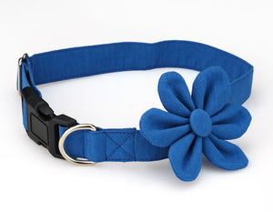 Beautiful Blue Flower Collar