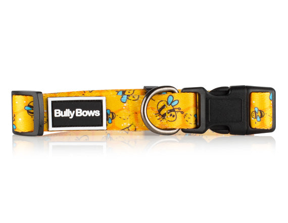 Bumble bee collar sale