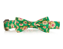 Summer Time Gerber Daisy Bow Tie Collar Dog Collar