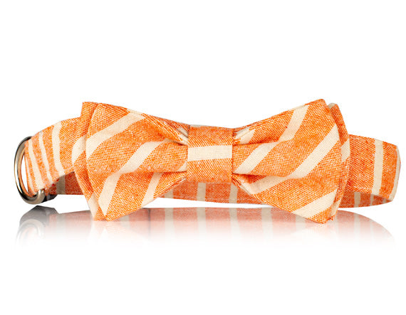 Penny Peach Bow Tie Dog Collar