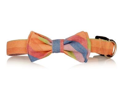 Rainbow Sherbet Bow Tie Dog Collar