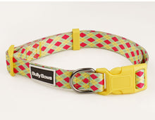 Vibrant Argyle Dog Collar