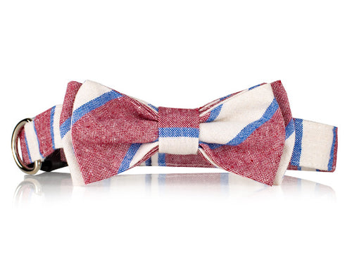 Red White And Blue Striped Bow Tie Dog Collar