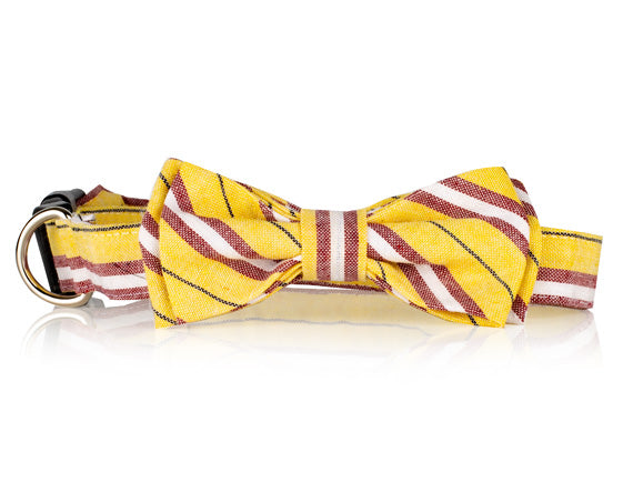 Yellow And Red Striped Bow Tie Dog Collar